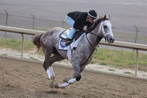 Analyzing the horses in the 2023 Belmont Stakes field: Favorites .